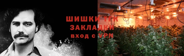 крисы Кинешма