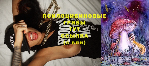 ПСИЛОЦИБИНОВЫЕ ГРИБЫ Киреевск