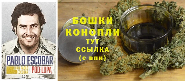 ПСИЛОЦИБИНОВЫЕ ГРИБЫ Киреевск