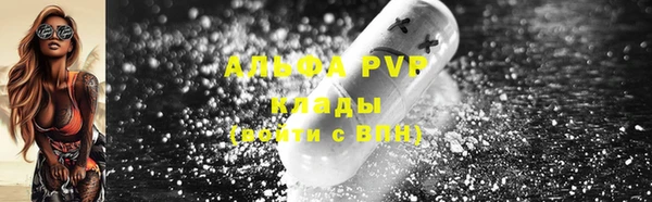 ПСИЛОЦИБИНОВЫЕ ГРИБЫ Киреевск