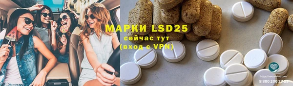ПСИЛОЦИБИНОВЫЕ ГРИБЫ Киреевск