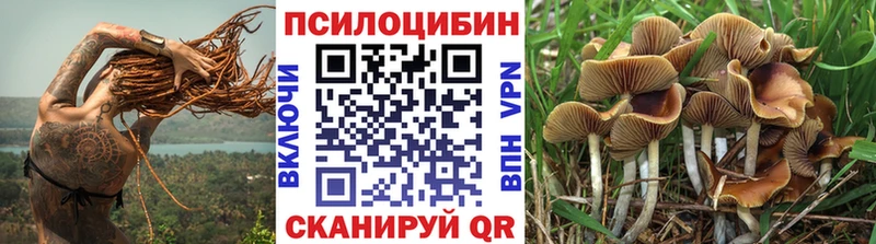 Галлюциногенные грибы Psilocybe  Купить  Гороховец 